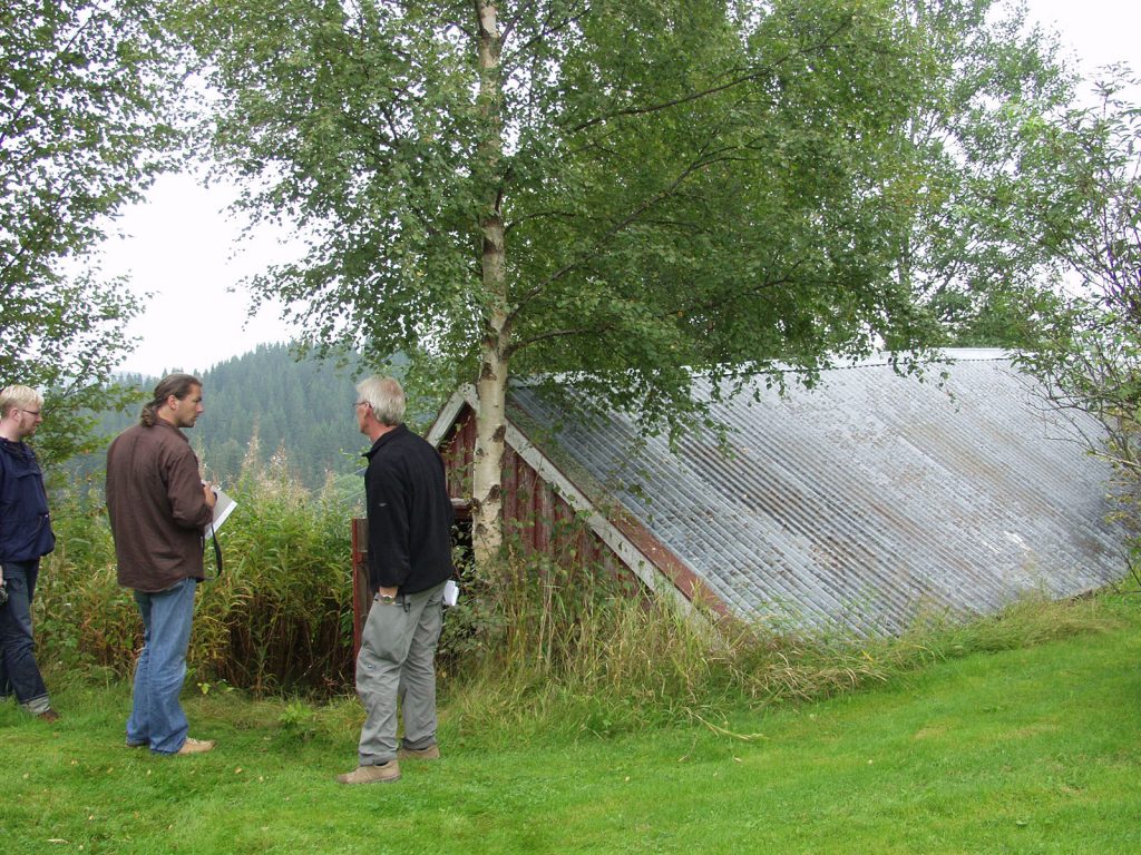 Jordkjeller bygd inn i terrenget overdekket med jord og med saltak. Eksempel fra Sør-Trøndelag. (Foto: Einar Engen/Domkirkeodden)