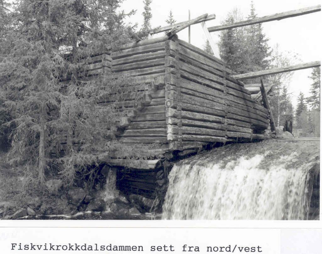 Fiskvikrokkdammen ca. 1993. Foto: Hedmark fylkeskommune