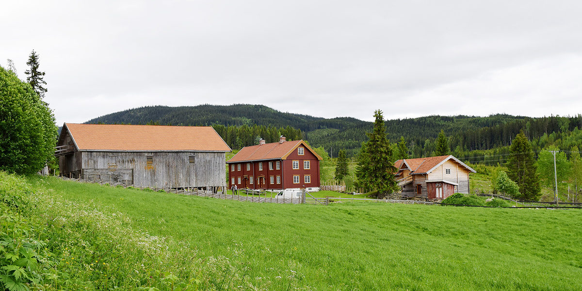Grøna ligger midt i beitelandskapet i et kulturmiljø nær den gamle Vestre Trondhjemske Kongevei. I dag beiter flere av Per Idars dyr i dette landskapet. (Foto: Einar Engen/Kulturminnefondet)