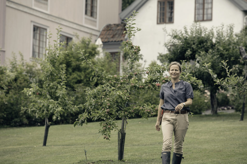 Marianne Olssøn har tilbakeført barokkhagen på Hovelsrud gård i Ringsaker, og har skapt sin egen arbeidsplass med gårdsturisme, egne produkter fra hagen og produksjon av økologisk kylling. (Foto: Tom Gustavsen)