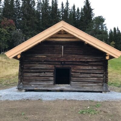 P4164 Åsne Vesaas 3