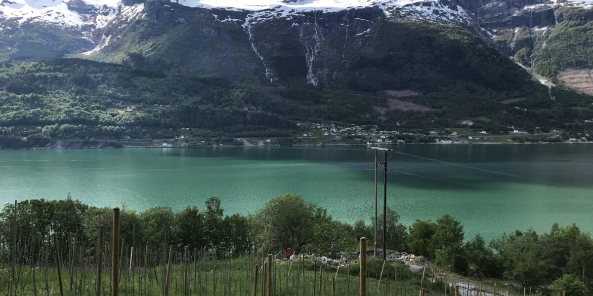 Utsikt mot fjorden. Foto fra søknad