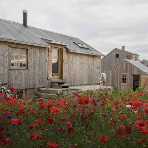 Villa Lofoten